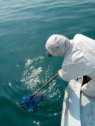 Aktivitas nelayan pagi hari